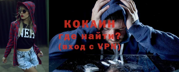 дмт Дмитриев