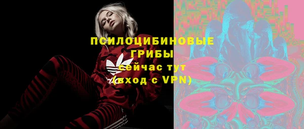 прущий лед Щигры