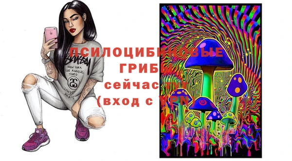 прущие крисы Дмитровск