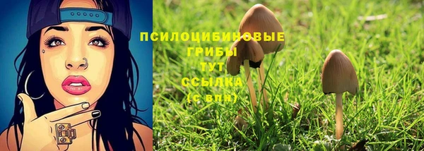 дмт Дмитриев