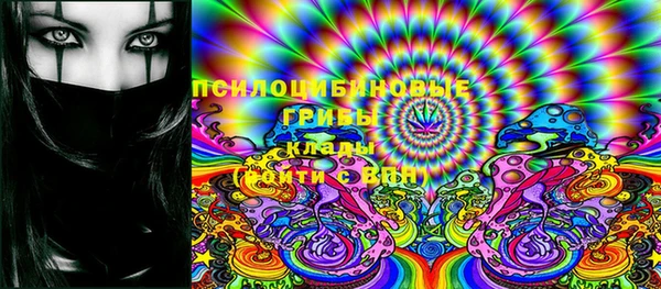 дмт Дмитриев