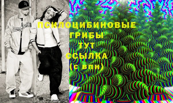 прущие крисы Дмитровск