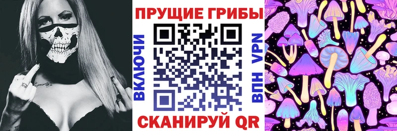 кракен онион  Западная Двина  Псилоцибиновые грибы Magic Shrooms 