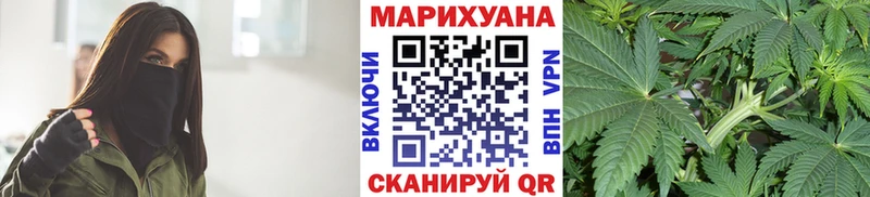 Конопля семена  omg маркетплейс  Западная Двина 